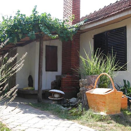 讷贡汀Przic House公寓 外观 照片