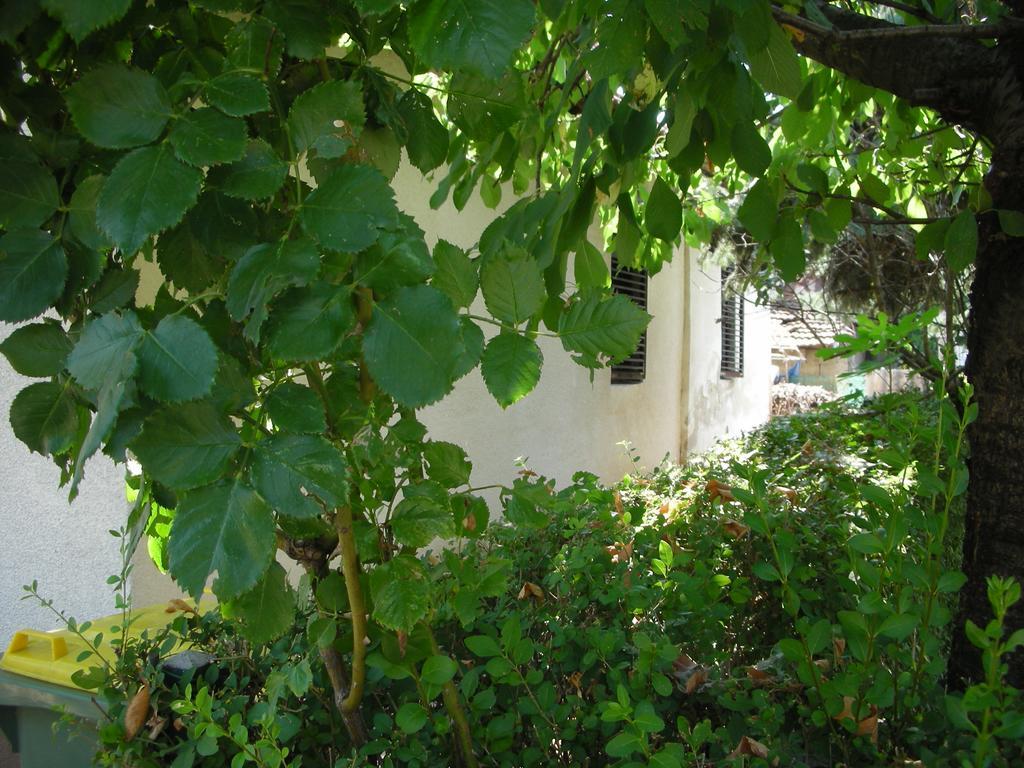 讷贡汀Przic House公寓 外观 照片