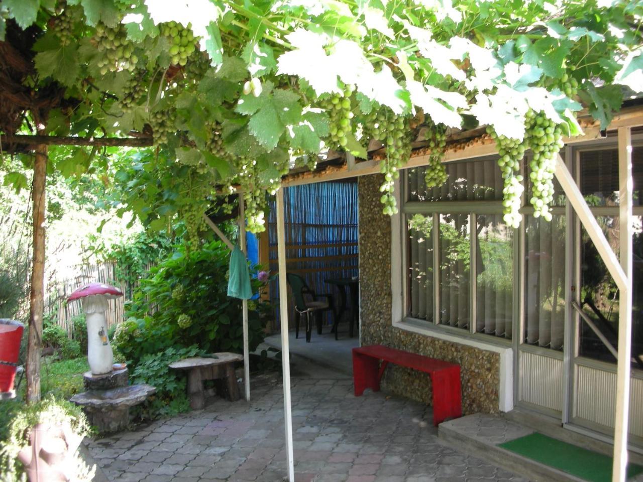 讷贡汀Przic House公寓 外观 照片